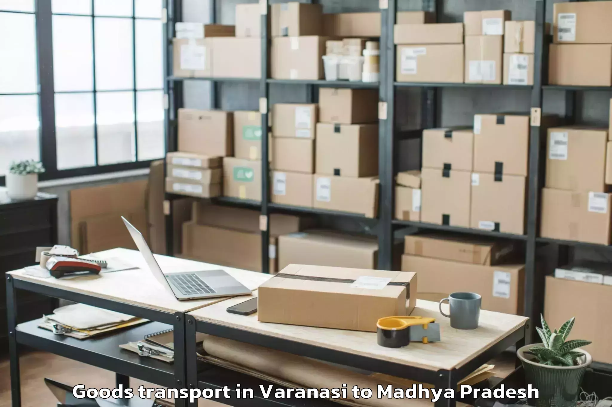 Top Varanasi to Anuppur Goods Transport Available